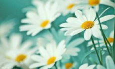 感恩朋友的经典句子：走进人心的情感表达，值得深思与铭记的朋友之间的珍贵情义！