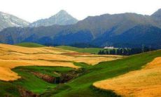 一起共度时光的好友们带来的充实快乐：带着笑声和温馨的回忆，一起度过美好时光的伙伴们