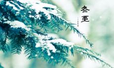 感受温馨的冬至快乐，送上精美的图片和祝福语！