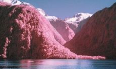 表达愉悦心情的句子，充满欣喜踏实的话语