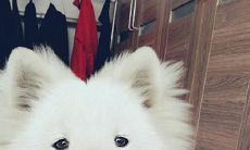 经历压力的夜晚，陷入失眠和焦虑的情境