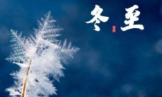 寻找启示与感悟：汇集冬至日朋友圈中最具启迪性与哲理性的语录