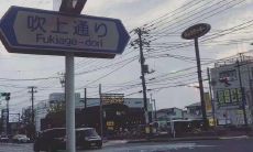 探索最具情感共鸣的令人感伤短语,在句子中寻找真正的安慰之路