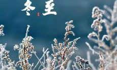 如何在冬至这个重要节日里,通过简单好句来创意发朋友圈?