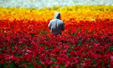 列举最令人沮丧的说说心情短语，让你感受悲伤的情绪