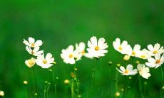 深刻感悟:当友情面临破裂时,我坚持不后悔自己的选择!