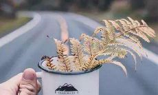 借助佛教智慧表达友情情感的句子集锦