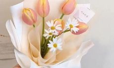 精致清新、情感饱满的早安文案，简洁准确、深入人心的短句，让生活更美好！