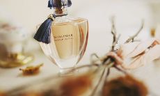 香水之美：令人陶醉的句子，讲述它的神奇魅力与气息感受