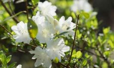 借环保日感恩自然,重拾对环境的关爱之心,从美好环境中汲取力量,助力可持续发展