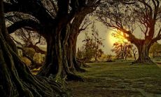 跋涉历程中感悟的沧桑句子