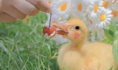 如何发一条有深度、有吸引力的朋友圈：探究朋友圈说书的艺术与技巧