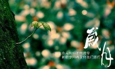 岁月凋零，时光匆匆：唯美的句子表达时间的流逝与人生的变迁