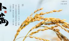 分享小满节气的朋友圈句子,感受五月的繁荣与丰收,珍爱友谊、珍爱生命,共享自然的神奇魅力!