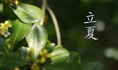 谈一谈迎接五月立夏的心情:愉悦、期待、感恩与赞美