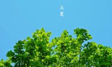 环境日益变暖,万物生长,我在立夏的朋友圈分享的心情句子!