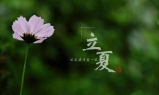 30句令人陶醉的唯美立夏说说,用文字真实感受初夏的温度和美好!