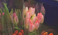 聊聊在抖音上触动心灵的文字片段