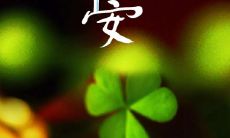 高质量正能量句子集合:让你拥有好心态,开启美好早晨