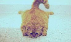 深感失望:表达对丈夫的失望和不满的几种句型和表达方式