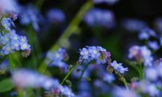 探寻古诗深情之美:闪耀着感情深厚、温暖无比的句子