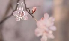明日春分到来，特别奉上各类精美祝福图片，让你感受春日温馨与美好！