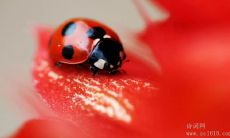 一些激励积极向上的名言和名句,鼓励人们积极面对挑战和困难,奋斗追求自我超越和成长的精神