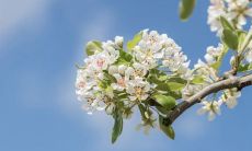 五月四日青年节祝福语，送给即将踏上新征程的年轻人们！