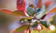 集锦：打动人心、深入人心的励志名言，来自各大电视剧！