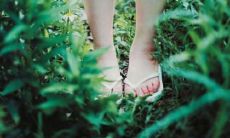 18句唯美描写惊蛰时节的精美句子，让你尽情感受春季万物苏醒的美好