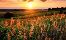 失望达到极点的语句,让人心如刀割