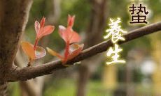 27句最暖心的微信祝福语，送给你——2022年惊蛰时节！