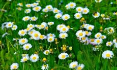 从沮丧至欣喜：诠释心中悲伤化作喜悦的表述方式