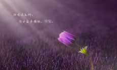 不断坚持、永不放弃，化百般忍辱为黄金的伟大励志句子