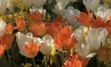 如何在发朋友圈时使用最干净的句子，避免语言表达上的错误和不当？