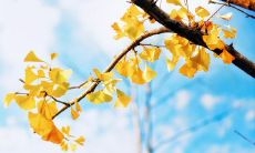 摘抄超唯美的句子，让你惊艳充满诗意的文字表达