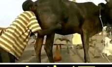 地表露你的个性和态度？