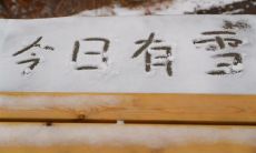 下雪啦!小编为你准备了10条创意,学会如何在朋友圈较真发布最美雪景照片,赢得点赞满满!
