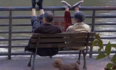 逗趣瞬间,妙语连珠,读完忍不住捧腹大笑