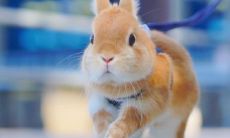 分享饮酒快乐的句子，祝愿饮酒时刻欢声笑语，情感满满，快乐多多！