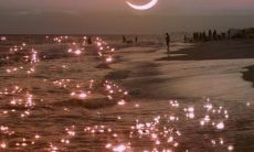 享受快乐幸福的生活：掌握让你开心的神奇句子