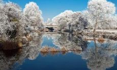 在冬季抒发内心情感的美丽句子，简短而充满唯美情感