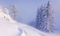 赏析冬日美景的唯美短句:感受清寒滋味,穿越梦境归来