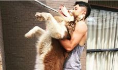 小狼狗的挑逗性言语：让你心潮澎湃！