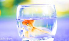 捉摸不定的思维和瞪大的眼睛，揭示了懊悔和自责的迹象：描写后悔神态的句子