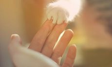 被情人背叛的我身心狼狈，泪洒心酸的句子