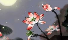 探索大暑美学:瑰丽的文案灵感和优美唯美句子,让你融入令人心醉的大暑氛围!