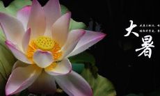 26句经典祝福语文案,表达2022大暑节气的心情