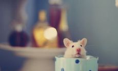 探究友情的意义和价值:一些有关友情的深刻句子及其解析