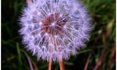 关于不愿维系友情的话语，你需要了解的事项